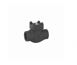 VAN MỘT CHIỀU THÉP RÈN (FORGED STEEL CHECK VALVE)