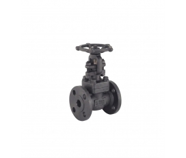 VAN CHẶN THÉP RÈN (FORGED STEEL GATE VALVE)