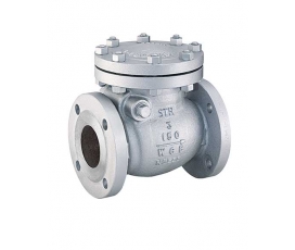 VAN MỘT CHIỀU (CHECK VALVE)