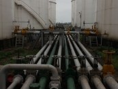 Nhân viên Kinh doanh (Lương cứng 5-7 triệu + % hoa hồng) - ĐI LÀM NGAY