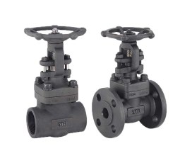 VAN CHẶN THÉP RÈN (FORGED STEEL GATE VALVE)