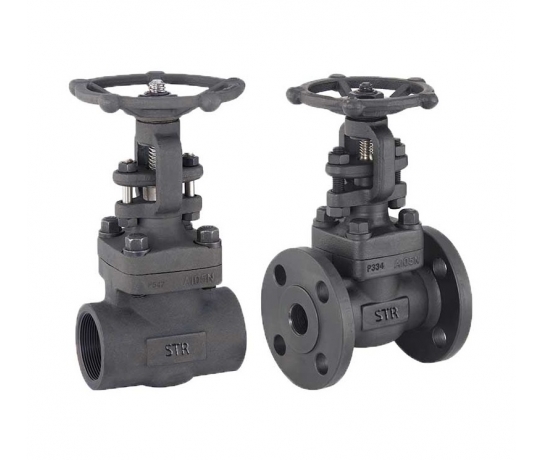 VAN CHẶN THÉP RÈN (FORGED STEEL GATE VALVE)